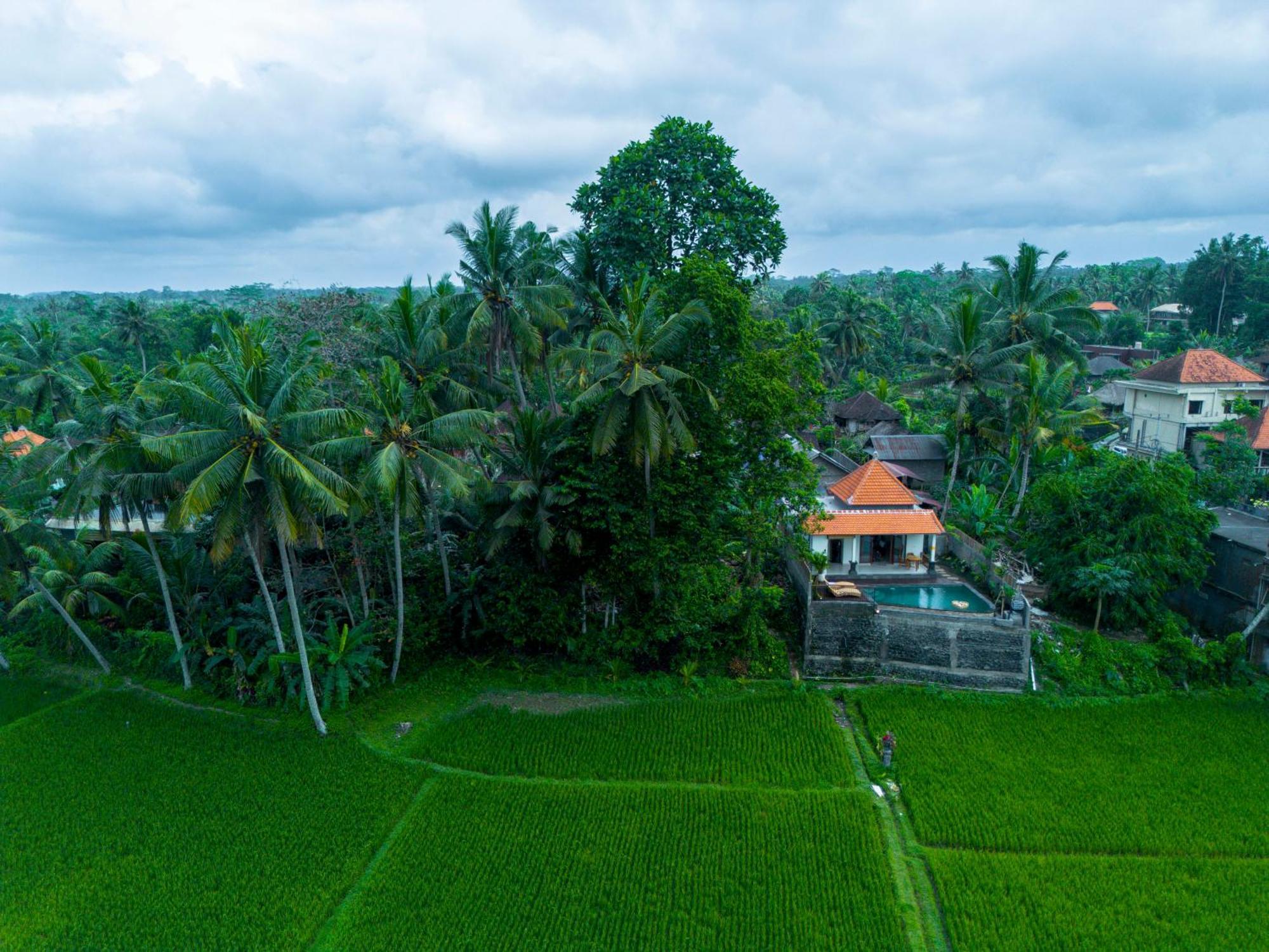 Jatining Ubud Villa & Spa Exterior photo